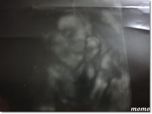 DSC08975_調整大小.JPG DSC08975_調整大小.JPG