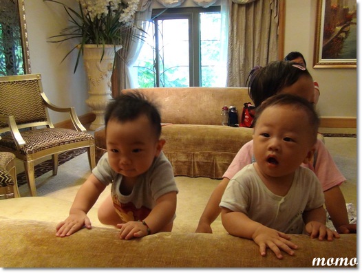 DSC00128_調整大小