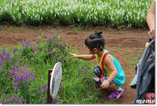 DSC_5286_調整大小