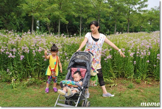 DSC_5309_調整大小