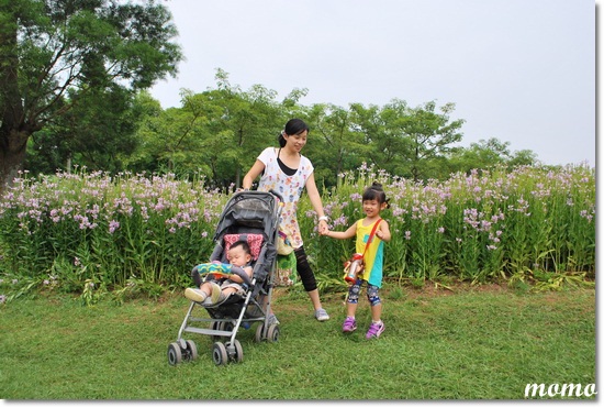 DSC_5313_調整大小