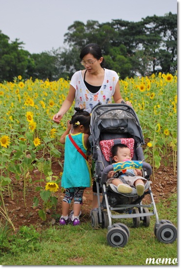 DSC_5326_調整大小