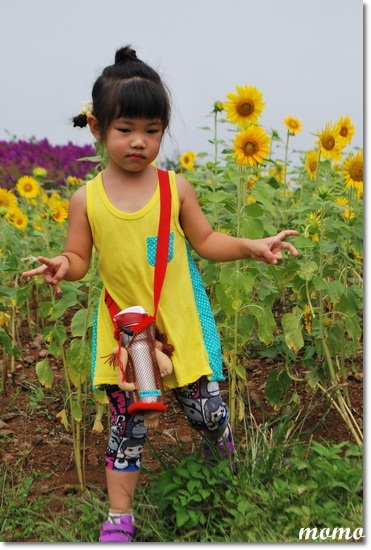 DSC_5333_調整大小