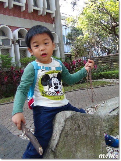 DSC06817_調整大小 DSC06817_調整大小