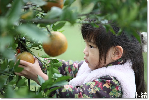 IMG_5575_調整大小