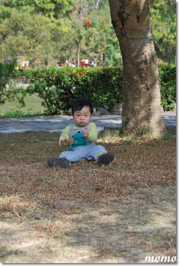DSC_6032_調整大小 DSC_6032_調整大小
