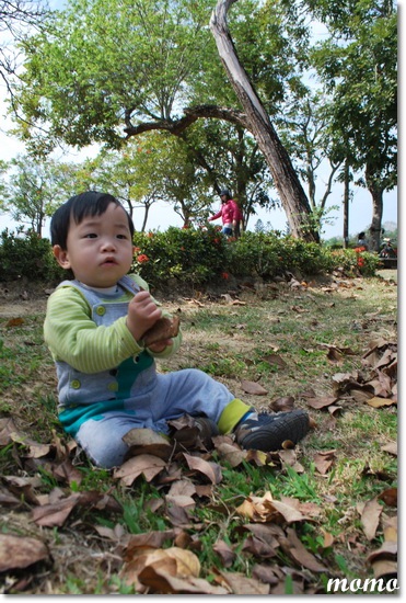 DSC_6084_調整大小 DSC_6084_調整大小