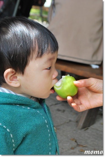DSC_6123_調整大小 DSC_6123_調整大小