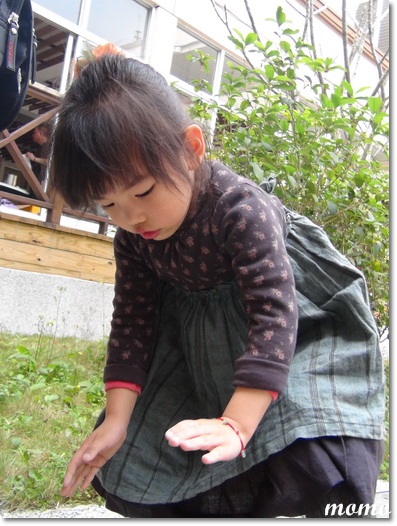 DSC09514_調整大小 DSC09514_調整大小