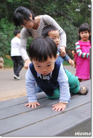 DSC_7345_調整大小 DSC_7345_調整大小