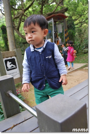 DSC_7349_調整大小 DSC_7349_調整大小