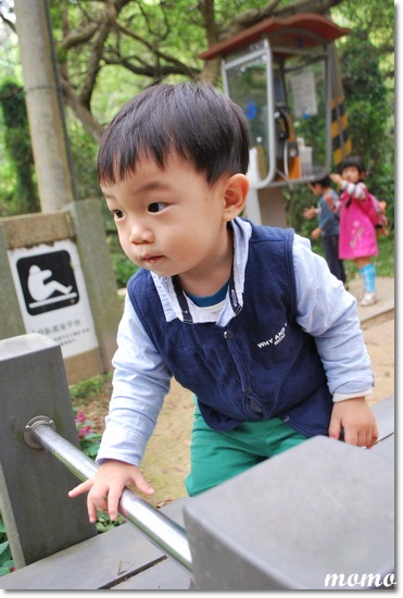 DSC_7350_調整大小 DSC_7350_調整大小