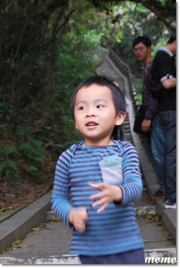 DSC_7363_調整大小 DSC_7363_調整大小
