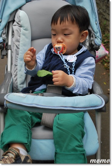DSC_7380_調整大小 DSC_7380_調整大小