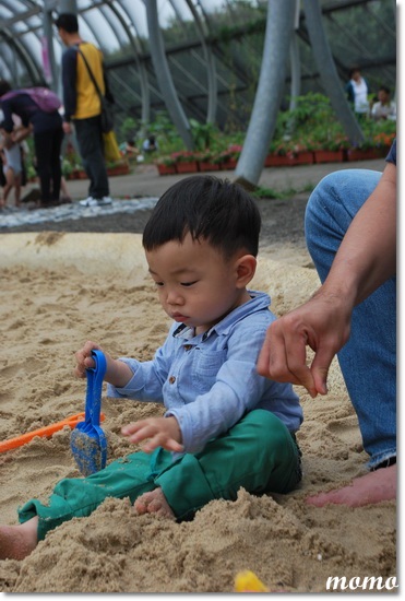 DSC_7399_調整大小 DSC_7399_調整大小