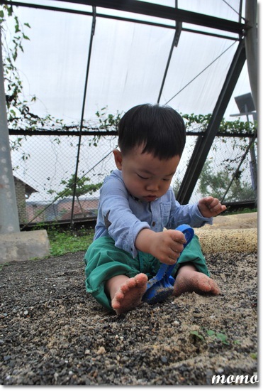 DSC_7424_調整大小 DSC_7424_調整大小