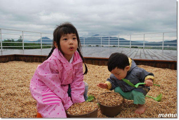 DSC_8101_調整大小