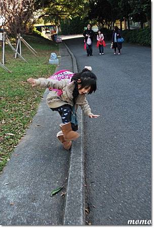 DSC_2324_調整大小.JPG DSC_2324_調整大小.JPG