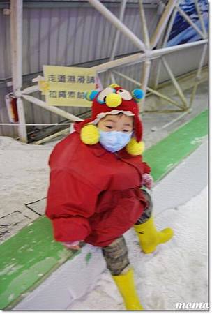 DSC_2357_調整大小.JPG DSC_2357_調整大小.JPG