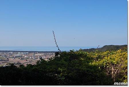 DSC_2449_調整大小.JPG DSC_2449_調整大小.JPG