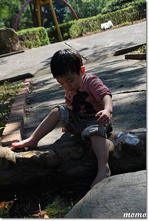 DSC_2536_調整大小.JPG DSC_2536_調整大小.JPG