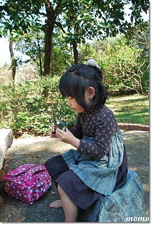 DSC_2539_調整大小.JPG DSC_2539_調整大小.JPG