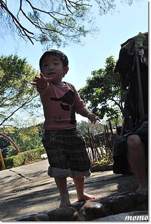DSC_2549_調整大小.JPG DSC_2549_調整大小.JPG