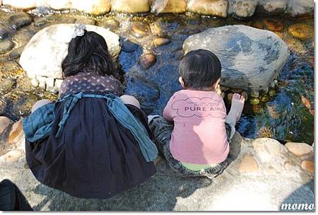 DSC_2555_調整大小.JPG DSC_2555_調整大小.JPG