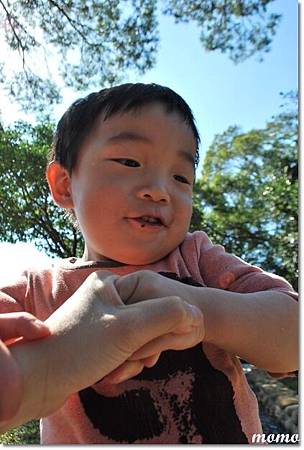 DSC_2564_調整大小.JPG DSC_2564_調整大小.JPG