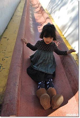 DSC_2679_調整大小.JPG DSC_2679_調整大小.JPG
