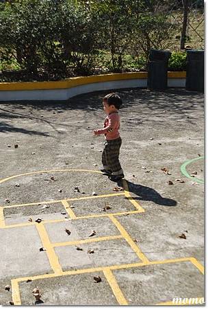DSC_2703_調整大小.JPG DSC_2703_調整大小.JPG