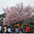 DSC_5872_調整大小.JPG