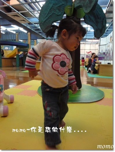 DSC05991_調整大小.JPG DSC05991_調整大小.JPG
