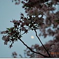 DSC_5852_調整大小.JPG