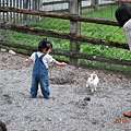 DSC_4268_調整大小.JPG