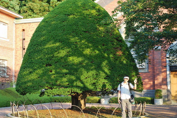 函館女子修道院