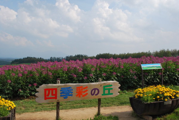 富良野四季彩之丘