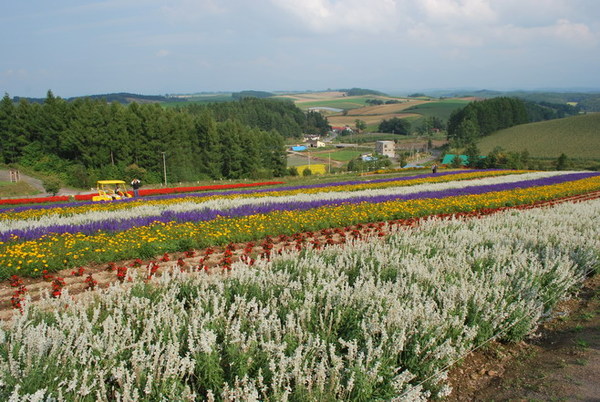 富良野四季彩之丘