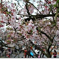 DSC_5822_調整大小.JPG