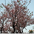 DSC_5810_調整大小.JPG