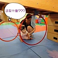 DSC01357_調整大小.jpg