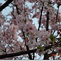 DSC_5818_調整大小.JPG