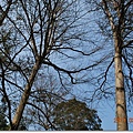 DSC_5802_調整大小.JPG
