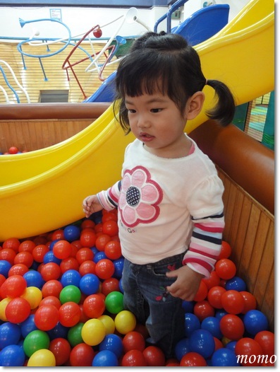 DSC05946_調整大小.JPG DSC05946_調整大小.JPG