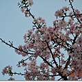 DSC_5812_調整大小.JPG