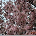 DSC_5833_調整大小.JPG