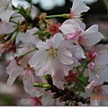 DSC_5820_調整大小.JPG