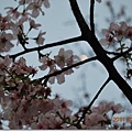 DSC_5859_調整大小.JPG