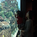 DSC03809_調整大小.JPG