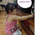 DSC01788_調整大小.jpg